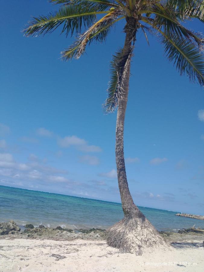 San Andrés Hostal Oceans Paradise المظهر الخارجي الصورة
